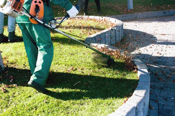 Parkta sonbahar çalışması. Bahçıvan kıştan önce çimleri biçer..