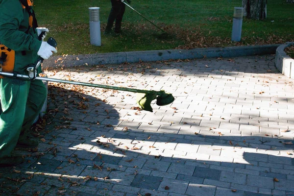 Parkta sonbahar çalışması. Bahçıvan kıştan önce çimleri biçer..