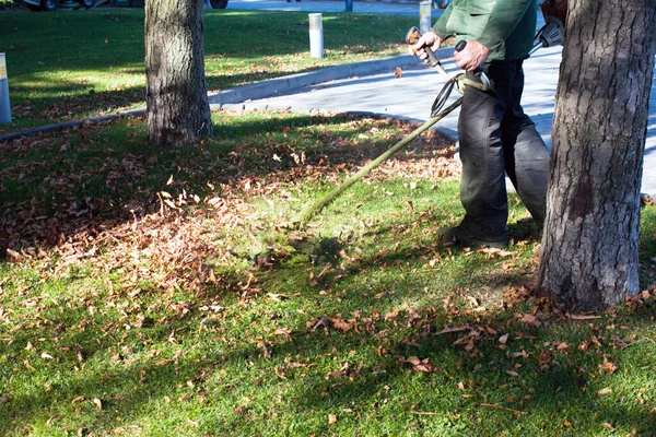 Parkta sonbahar çalışması. Bahçıvan kıştan önce çimleri biçer..