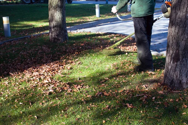 Parkta sonbahar çalışması. Bahçıvan kıştan önce çimleri biçer..