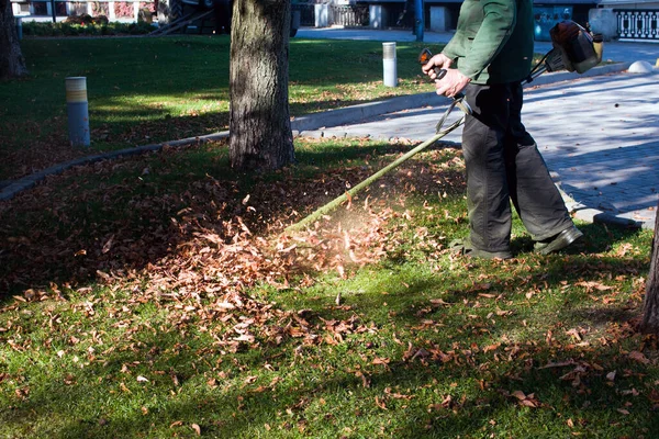 Parkta sonbahar çalışması. Bahçıvan kıştan önce çimleri biçer..