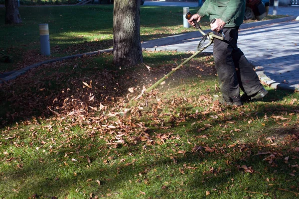 Trabalho Outono Parque Jardineiro Corta Grama Antes Inverno — Fotografia de Stock