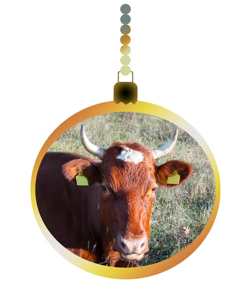 新年舞会以象征新年的形象出现 一头公牛 圣诞知足 — 图库照片