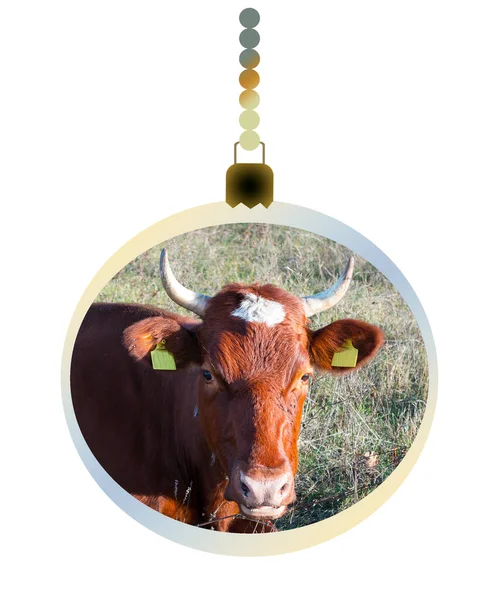 新年舞会以象征新年的形象出现 一头公牛 圣诞知足 — 图库照片