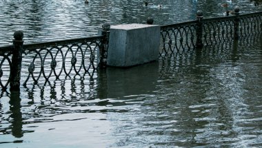 Parktaki su deposunun tahsilat sisteminde teknik sorunlar var. Yürüme yolları ve çitler suyla dolmuştu. Ördekler kaldırımlarda yüzer.