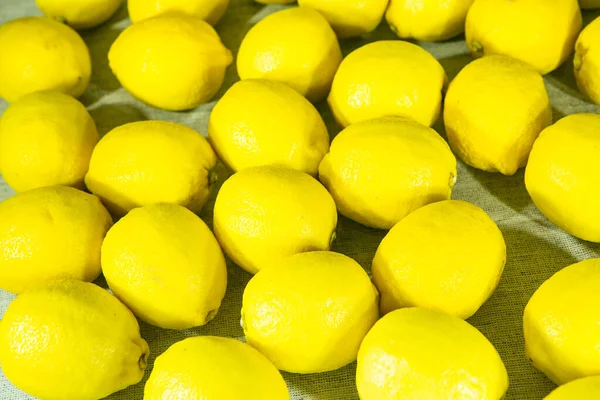 Limones Maduros Frescos Antecedentes Gran Número Limones Que Yacen Sobre — Foto de Stock