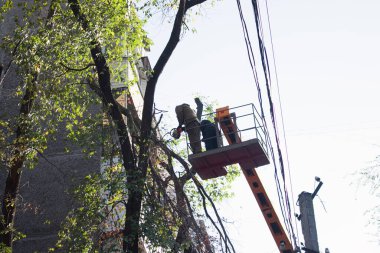 Şehirlerdeki eski tehlikeli ağaçlar kaldırılıyor. Ağaç gövdesini kesme işlemi. Bir belediye işçisi elektrikli testere ile uzun bir ağacı kesiyor.