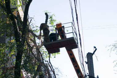 Şehirlerdeki eski tehlikeli ağaçlar kaldırılıyor. Ağaç gövdesini kesme işlemi. Bir belediye işçisi elektrikli testere ile uzun bir ağacı kesiyor.