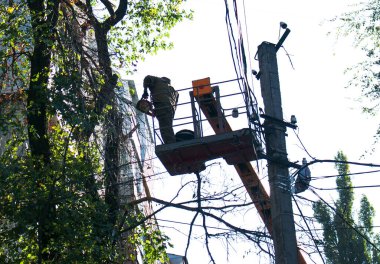 Şehirlerdeki eski tehlikeli ağaçlar kaldırılıyor. Ağaç gövdesini kesme işlemi. Bir belediye işçisi elektrikli testere ile uzun bir ağacı kesiyor.