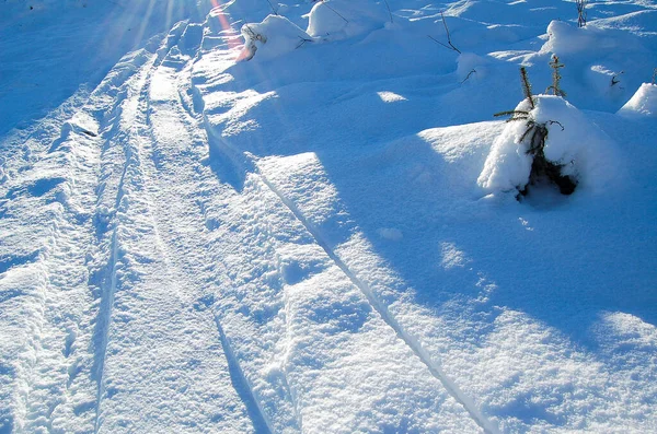 Winter Sneeuwhardloopbaan Winterbos Sport — Stockfoto