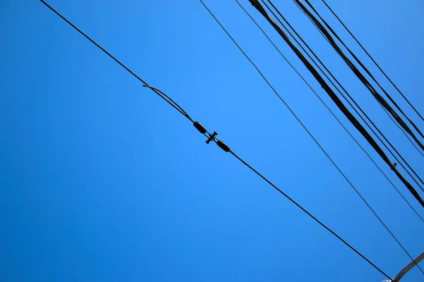 Freileitungen Vor Blauem Himmel Industrielle Stromleitungen Die Vor Dem Klaren — Stockfoto