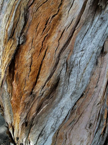 Die Textur Von Dunkelbraunem Altem Holz Baumrinde Holzuntergrund Großflächige Textur — Stockfoto