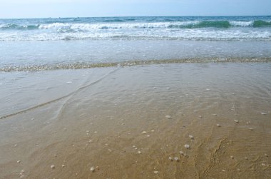 Lahey 'deki Scheveningen plajı. Hollanda 'nın en ünlü ve en büyük plajı. Geçmişte, sanatçılar için favori bir yerdi..