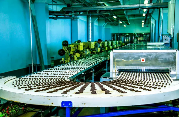 Sweets factory. Sweets production process. Conveyor belt with sweets on it.