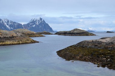 Lofoten Adaları. Norveç. Balık tutmaya. Seyahat et. Klasik Norveç İskandinav dağ manzarası dağlar, fiyort, mavi gökyüzü ile göl.