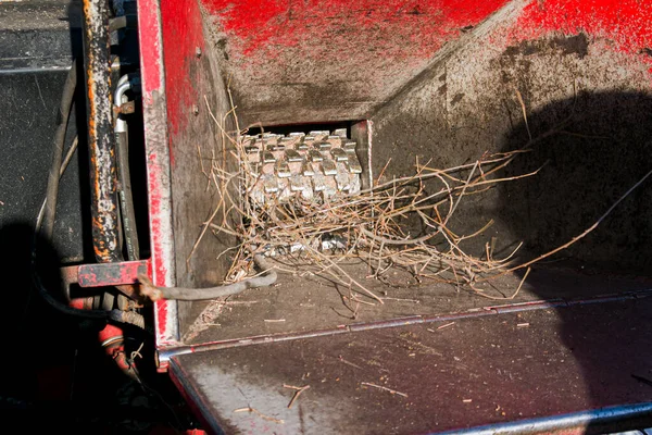 Şehir parkındaki ağaçların ve dalların seyyar öğütücüsü. Ağaç öğütücüsüyle dalları ve küçük kuru ağaçları temizliyorum. İşçiler kırık ağaçları geri dönüştürüyor