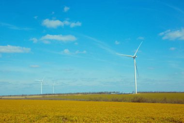 Buğday tarlasında rüzgar türbinleri. Yel değirmenleri alternatif enerji kaynaklarından biridir..