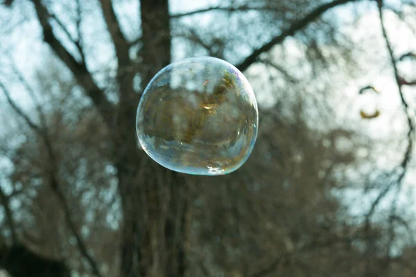 公園で明るい大きな石鹸ボール 子供たちはシャボン玉を膨らませ 美しい泡のボールが空中にぶら下がっています — ストック写真