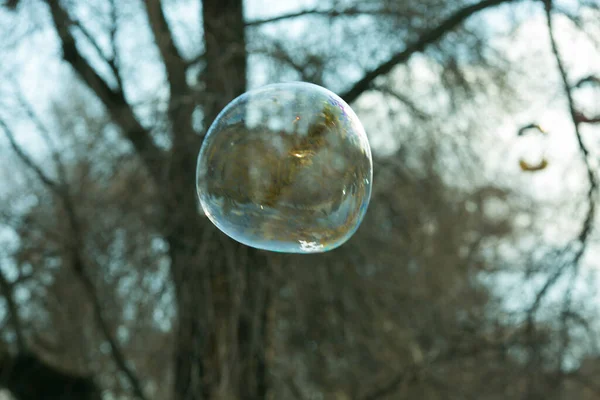 Bright Big Soap Balls Park Children Inflate Soap Bubbles Beautiful — Stock Photo, Image