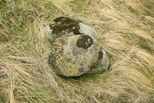 石头上覆盖着苔藓 天然背景由石头和干草制成 早春田园 — 图库照片