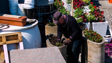 Dnepropetrovsk, Ukrayna - 01.05.2021: Dinyeper Nehri kıyısında bir kafe dekorasyonu için dekoratif çiçeklerin hazırlığı.