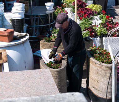 Dnepropetrovsk, Ukrayna - 01.05.2021: Dinyeper Nehri kıyısında bir kafe dekorasyonu için dekoratif çiçeklerin hazırlığı.