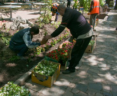 Dnepropetrovsk, Ukrayna - 09.05.2021: Kentin çiçek tarlalarındaki kamu hizmetleri çalışanları.
