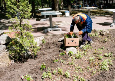 Dnepropetrovsk, Ukrayna - 09.05.2021: Kentin çiçek tarlalarındaki kamu hizmetleri çalışanları.
