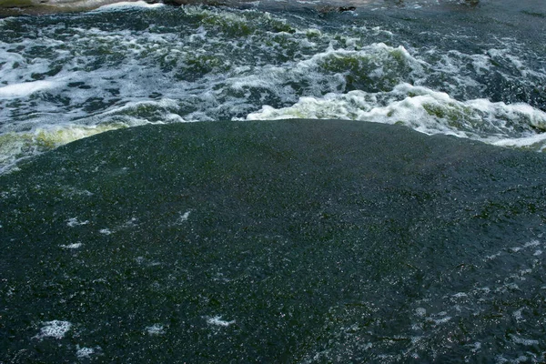 Textura Água Superfície Uma Pequena Cachoeira Estepe Ucraniana Close Cachoeira — Fotografia de Stock