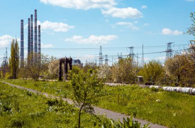 Termik santrale giden yol. Bacalar uzaktan görülebilir..