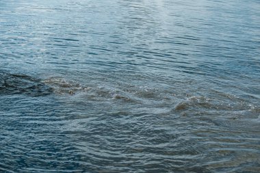 Lağım borularından akan kirli portakal suyu nehir suyuyla karışıyor. İki farklı su akıntısı arasındaki temiz sınır. Çevre kirliliği teması.