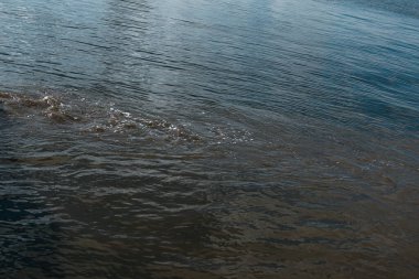 Lağım borularından akan kirli portakal suyu nehir suyuyla karışıyor. İki farklı su akıntısı arasındaki temiz sınır. Çevre kirliliği teması.