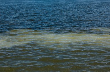 Lağım borularından akan kirli portakal suyu nehir suyuyla karışıyor. İki farklı su akıntısı arasındaki temiz sınır. Çevre kirliliği teması.