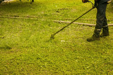 Parkta yaz çalışması. Bahçıvan çimleri kesiyor. Bir adam koruma olmadan çim biçme makinesi kullanır..
