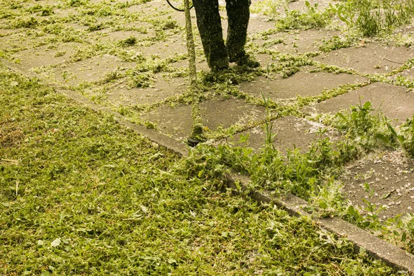 Letní Práce Parku Zahradník Seká Trávu Muž Používá Zahradní Nůžky — Stock fotografie