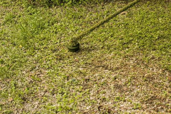 Trabalho Verão Parque Jardineiro Está Cortar Relva Homem Usa Aparador — Fotografia de Stock