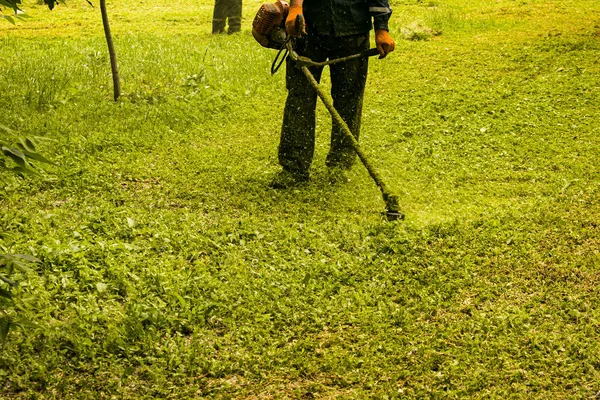 公園で夏の仕事 庭師は草を切っている 男は保護カバーなしで芝生のトリマーを使用します — ストック写真