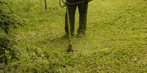 Trabajo Verano Parque Jardinero Está Cortando Hierba Hombre Utiliza Cortador — Foto de Stock