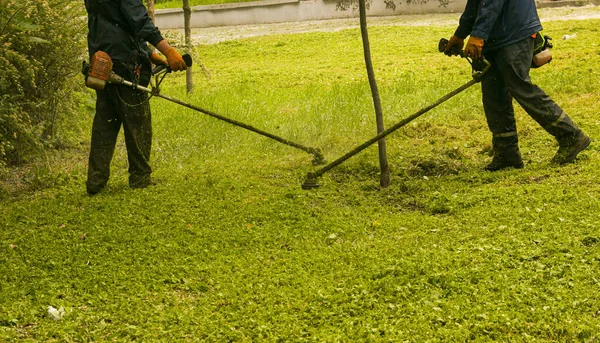 Trabajo Verano Parque Jardinero Está Cortando Hierba Hombre Utiliza Cortador —  Fotos de Stock