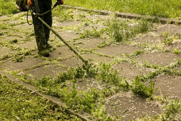 Trabajo Verano Parque Jardinero Está Cortando Hierba Hombre Utiliza Cortador —  Fotos de Stock