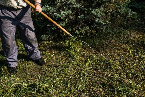 Şehir hizmetleri çalışanları şehir parkının çimlerindeki kuru yaprakları temizlemekle meşgul. Tırmık işi..