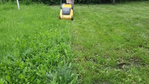 Sekání Trávníku Elektrickou Sekačkou Trávu Muž Zahradník Profesionálně Dělá Svou — Stock video