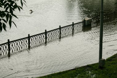 Halk parkı yağmurdan sırılsıklam olmuş. Su dolu park. Islak banklar. Yağmurdan sonra su dolu park. Sağanak yağmurdan sonra boş park..