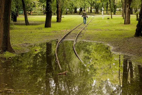 Nyilvános Park Elázott Esőben Vízipark Nedves Padok Park Tele Vízzel — Stock Fotó