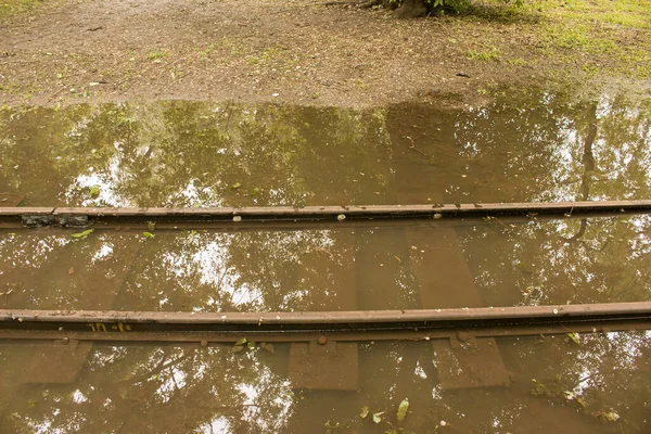 Nyilvános Park Elázott Esőben Vízipark Nedves Padok Park Tele Vízzel — Stock Fotó