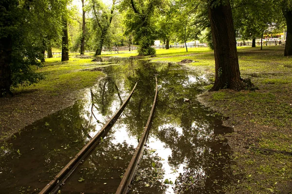 Nyilvános Park Elázott Esőben Vízipark Nedves Padok Park Tele Vízzel — Stock Fotó