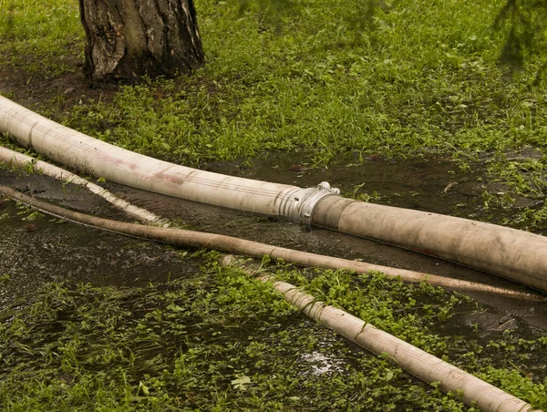 大雨过后淹没在城市公园里 抽水用消防软管 — 图库照片