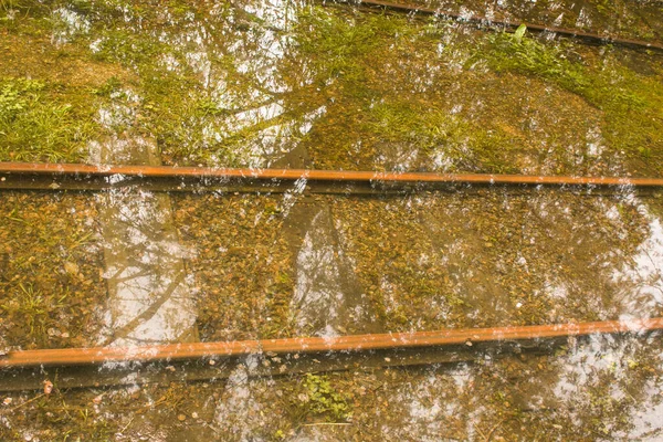 Parco Pubblico Bagnato Dalla Pioggia Acqua Registrata Park Wet Panchine — Foto Stock