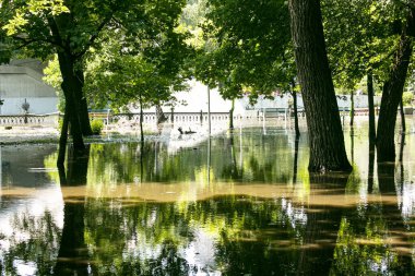 Halk parkı yağmurdan sırılsıklam olmuş. Su dolu park. Islak banklar. Yağmurdan sonra su dolu park. Sağanak yağmurdan sonra boş park..