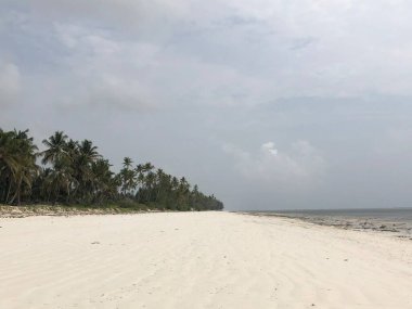 Hint Okyanusu kıyısında. Zanzibar adası. Afrika.